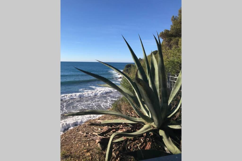 Appartamento La petite Pinède Sanary-sur-Mer Esterno foto